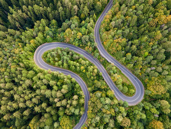 High angle view of road amidst trees in forest