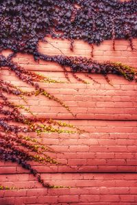 Full frame shot of brick wall