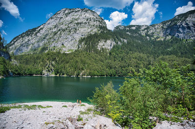 Scenic view of lake by trees against sky