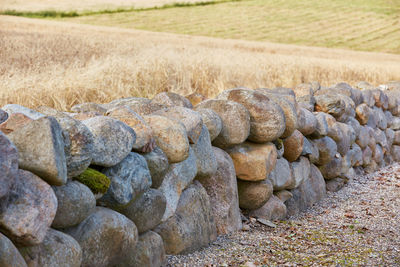 Close-up of hay in farm