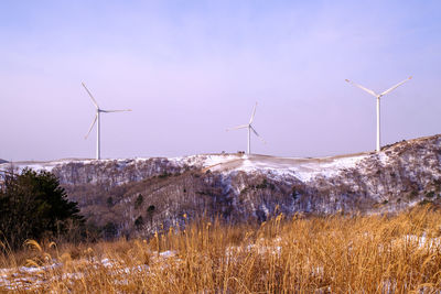 Scenic view of field against clear sky