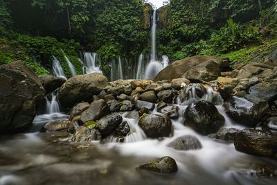 Scenic view of waterfall in forest