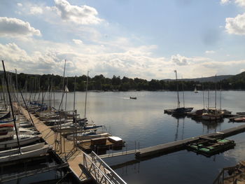 Sailboats moored at harbor