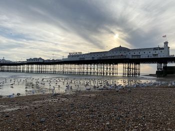 Pier over sea against sky