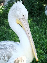 Close-up of a white background