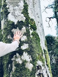 Low section of man on tree trunk