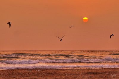 Scenic view of sea against orange sky