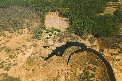 High angle view of people walking on field