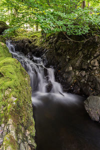 Scenic view of waterfall in forest