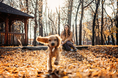 Caring for your pet in autumn, cute english cocker spaniel puppy walking with female owner in