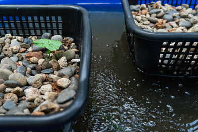 High angle view of stones in container