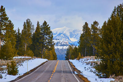 Road amidst trees against sky