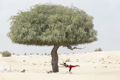 Full length of woman standing by tree on shore against sky