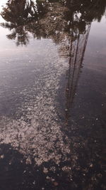 Reflection of trees in puddle on road