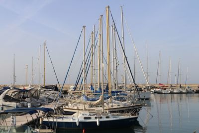 Sailboats moored on harbor against sky