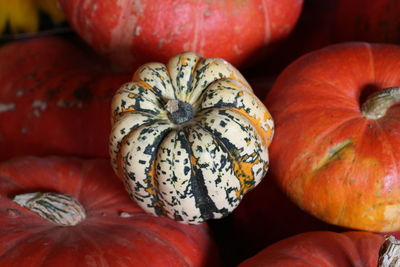 Full frame shot of pumpkins