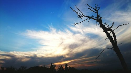 Low angle view of bare tree against cloudy sky