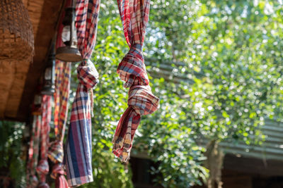 Low angle view of textiles hanging by trees