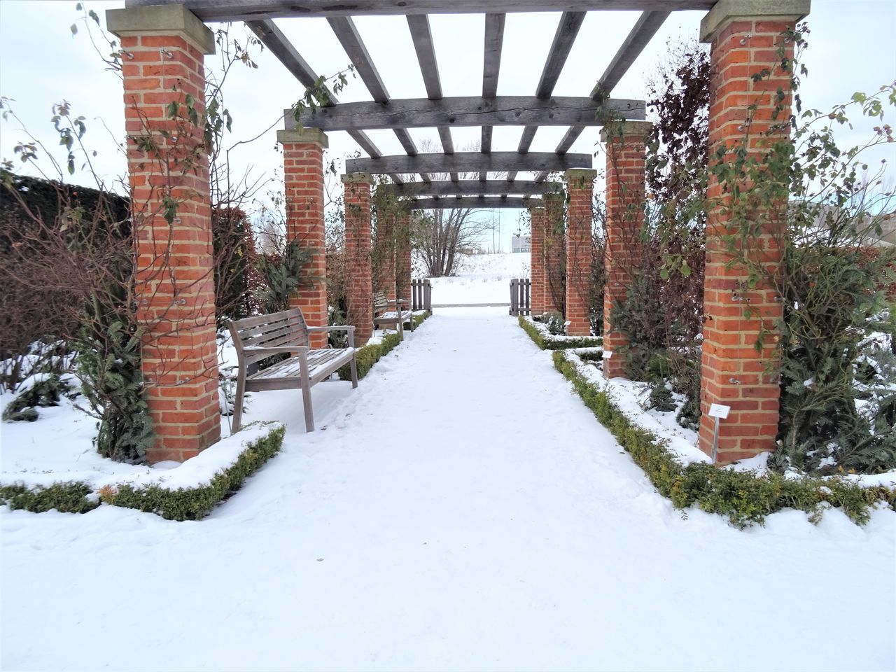 SNOW COVERED FOOTPATH AMIDST BUILDINGS