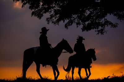 Cowboy on horse silhouetted against a large tree