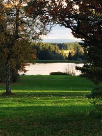 Scenic view of lake by trees against sky