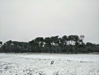 Trees on field against clear sky during winter