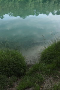 High angle view of lake