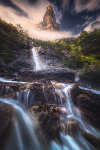 Scenic view of waterfall in forest