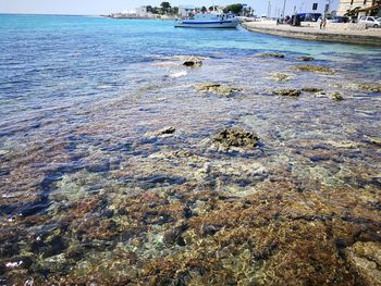 Scenic view of beach