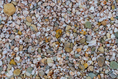 Full frame shot of stones