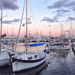 Boats moored at harbor