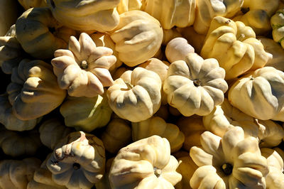 Full frame shot of white pumpkins for sale in market