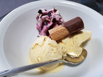 Close-up of ice cream in plate