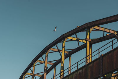 Low angle view of bird flying against clear blue sky