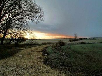 Road passing through field