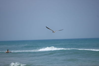 Seagull flying over sea against clear sky