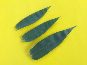 High angle view of yellow leaf on table