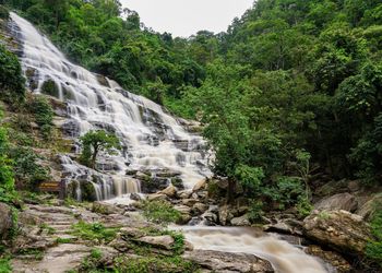 Scenic view of waterfall in forest