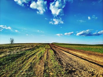 Scenic view of agricultural field against sky