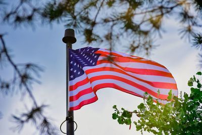 Low angle view of flag against sky