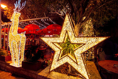 Illuminated christmas tree at night