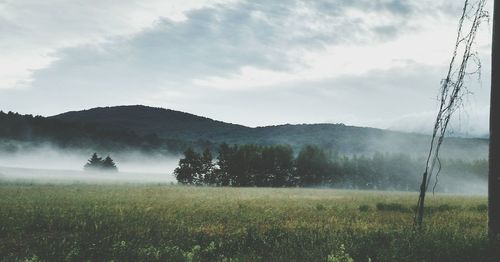 Scenic view of lake against cloudy sky