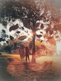 People standing by tree against sky during sunset