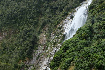 Scenic view of waterfall in forest