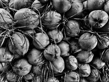 Full frame shot of vegetables for sale