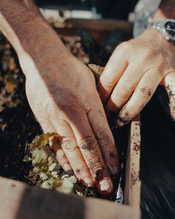 Close-up of person holding hands