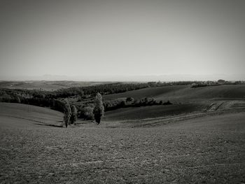 Scenic view of agricultural field against clear sky