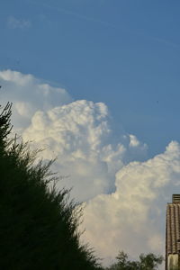 Low angle view of trees and building against sky