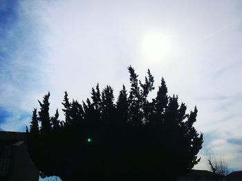 Low angle view of trees against sky