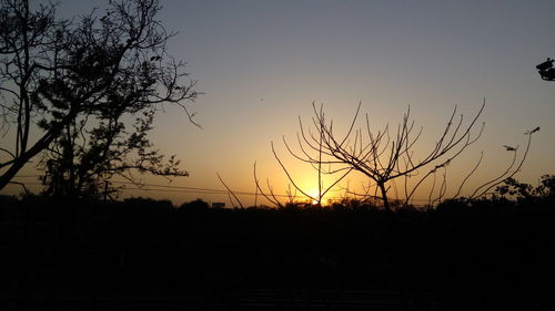 Silhouette of trees at sunset